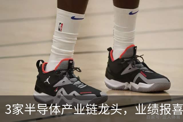 3家半导体产业链龙头,业绩报喜!